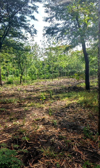 KSh 8M Serviced Plot in Ongata Rongai