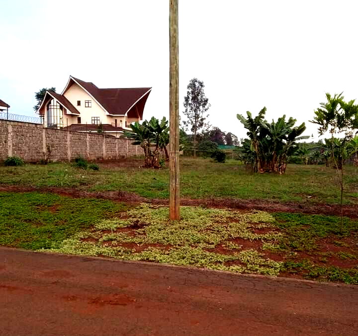 KSh 40M Runda Plot
