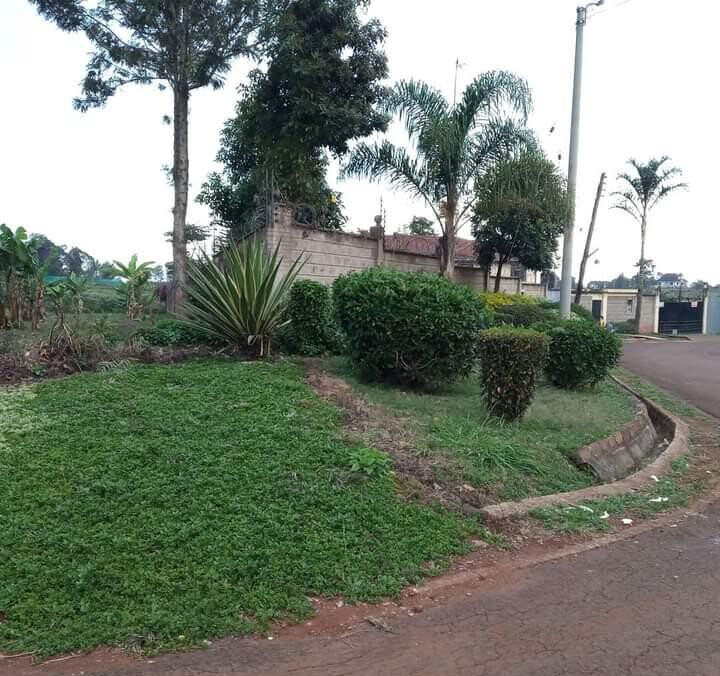 KSh 40M Runda Plot