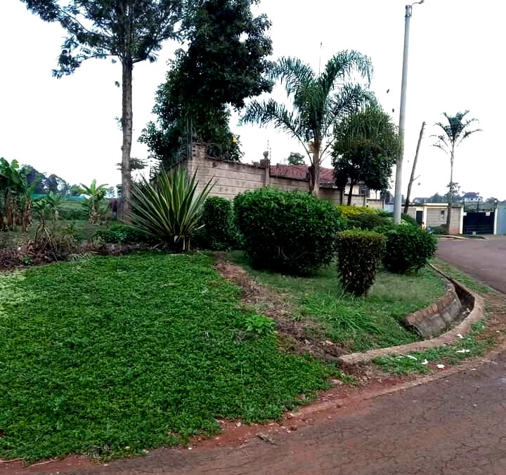 KSh 40M Runda Plot