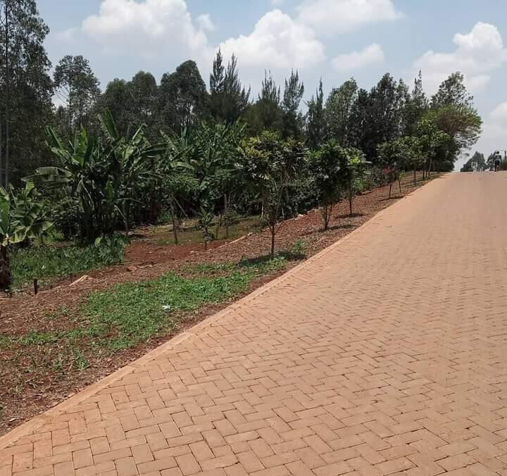 KSh 40M Runda Plot