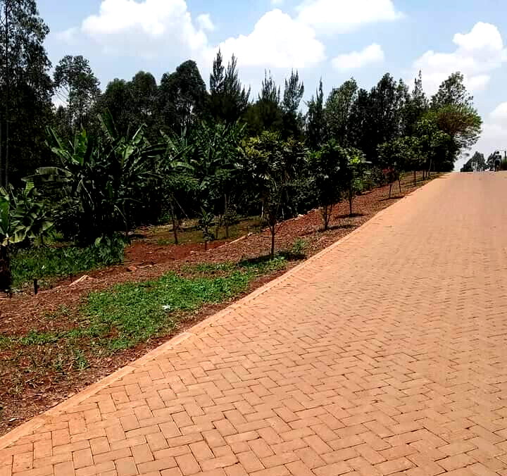 KSh 40M Runda Plot