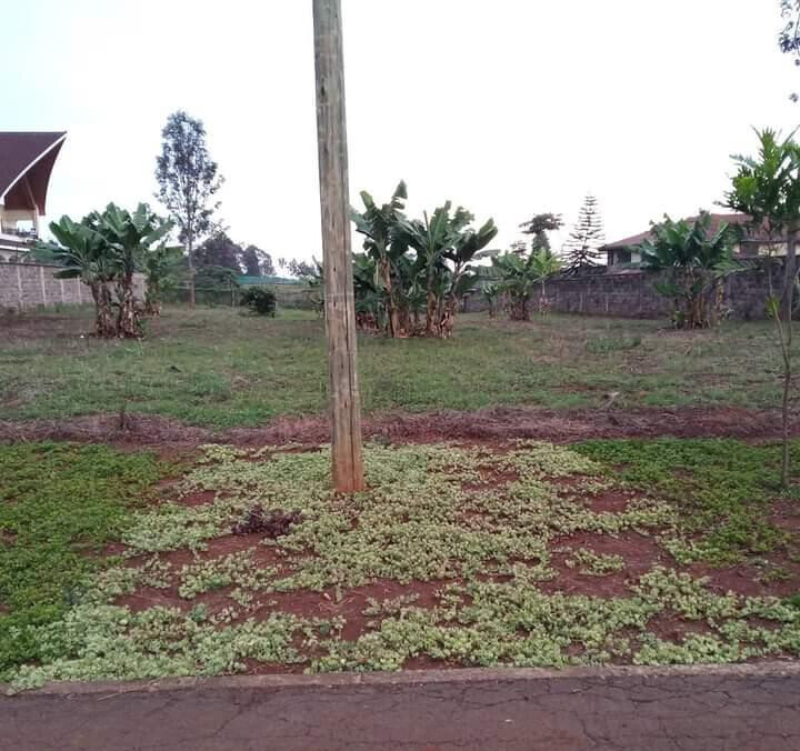 KSh 40M Runda Plot