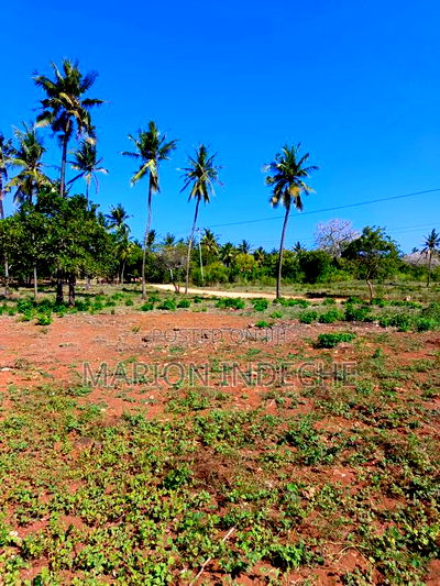 3 Acres for Sale in Kilifi Chumani - Image 1