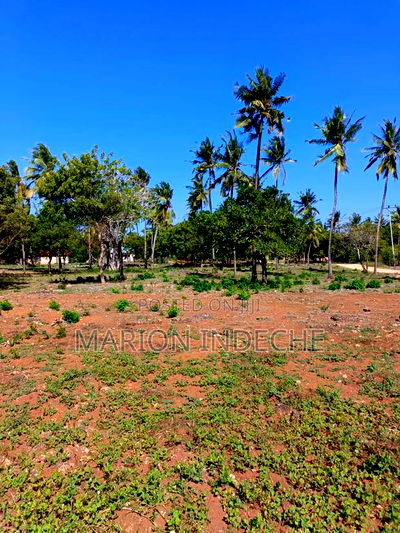3 Acres for Sale in Kilifi Chumani - Image 2