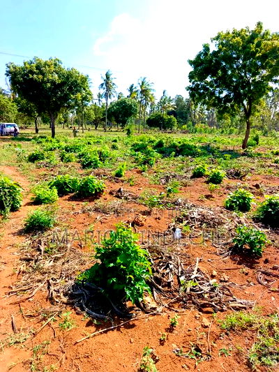 3 Acres for Sale in Kilifi Chumani - Image 3