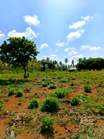 3 Acres for Sale in Kilifi Chumani - Image 5