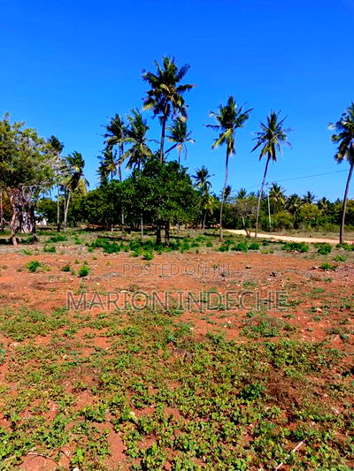 3 Acres for Sale in Kilifi Chumani - Image 4