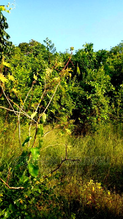 2 Acres Treasure of Land in Galu Kinondo Beach 2nd Beach Row - Image 11