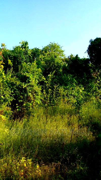 2 Acres Treasure of Land in Galu Kinondo Beach 2nd Beach Row - Image 2