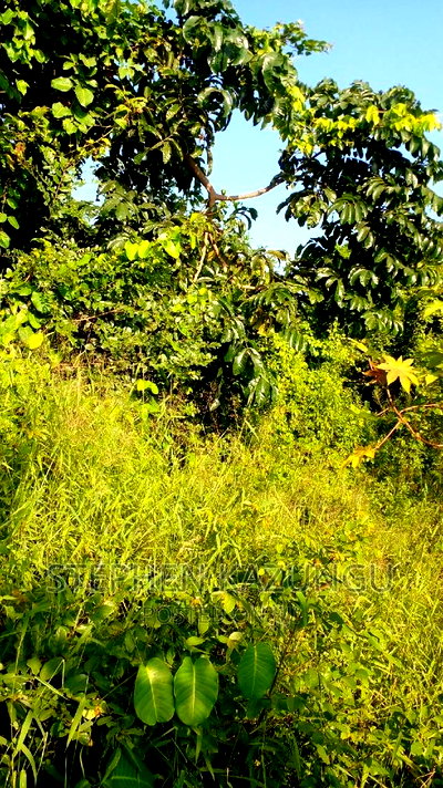 2 Acres Treasure of Land in Galu Kinondo Beach 2nd Beach Row - Image 3