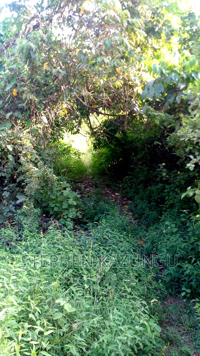 2 Acres Treasure of Land in Galu Kinondo Beach 2nd Beach Row - Image 1