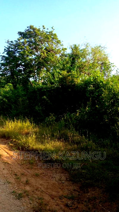2 Acres Treasure of Land in Galu Kinondo Beach 2nd Beach Row - Image 4