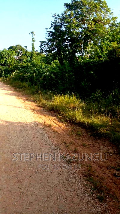 2 Acres Treasure of Land in Galu Kinondo Beach 2nd Beach Row - Image 7