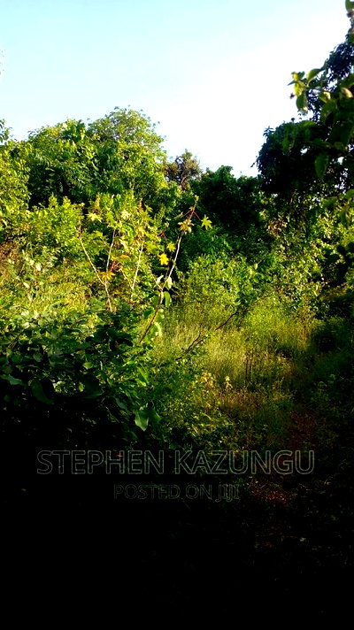 2 Acres Treasure of Land in Galu Kinondo Beach 2nd Beach Row - Image 8