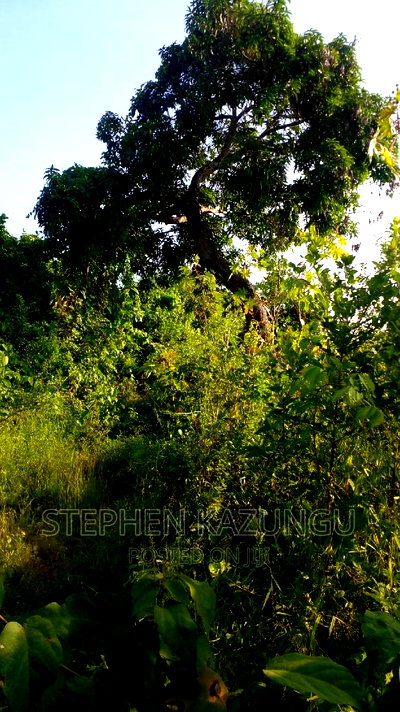 2 Acres Treasure of Land in Galu Kinondo Beach 2nd Beach Row - Image 6