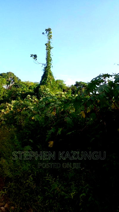 2 Acres Treasure of Land in Galu Kinondo Beach 2nd Beach Row - Image 10
