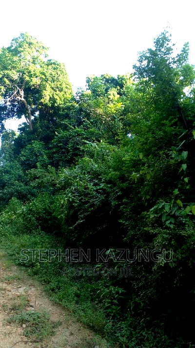 2 Acres Treasure of Land in Galu Kinondo Beach 2nd Beach Row - Image 5