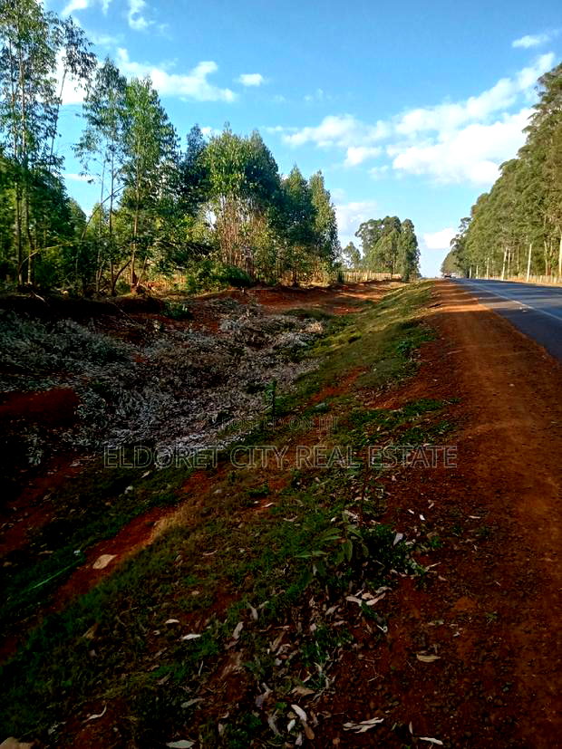 One Acre Plus 1/4 Kapseret Touching Tarmac