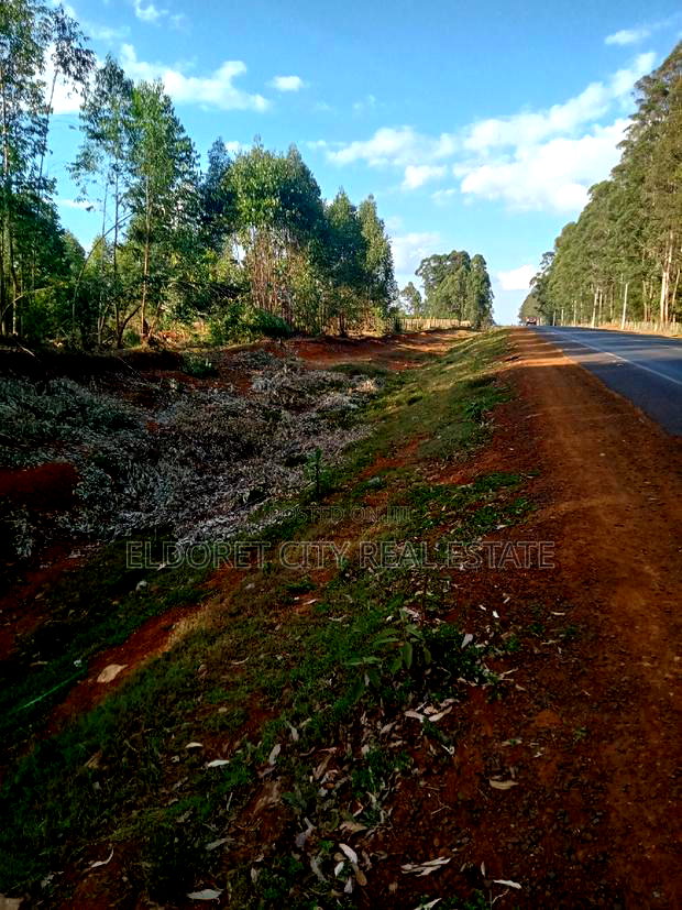 One Acre Plus 1/4 Kapseret Touching Tarmac