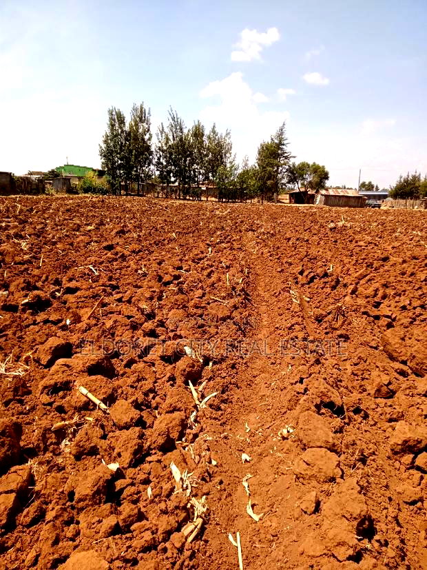 1/4 Plot Duka Moja Kaptagat Road