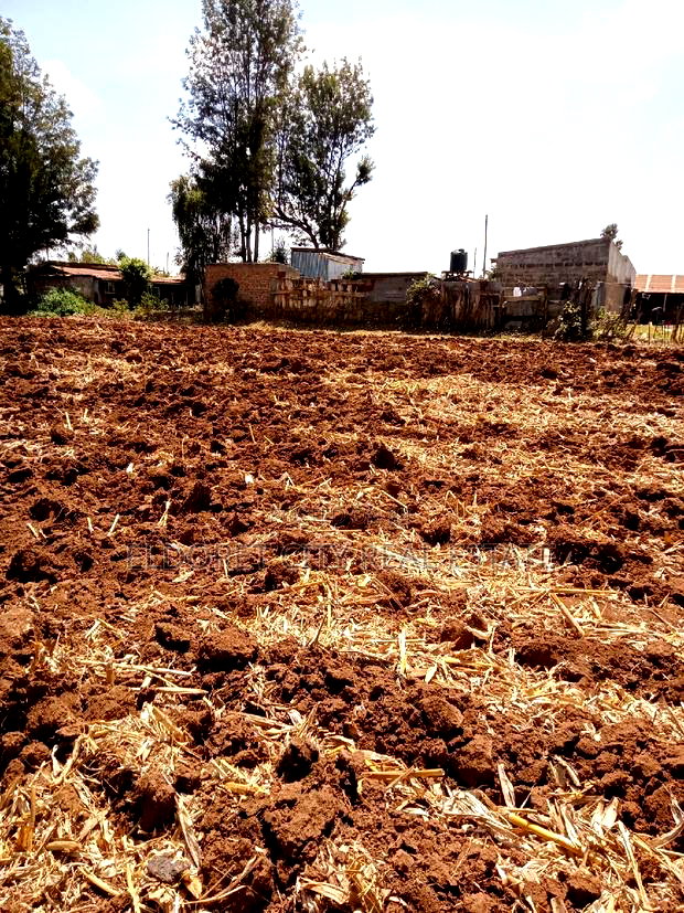 1/4 Plot Duka Moja Kaptagat Road