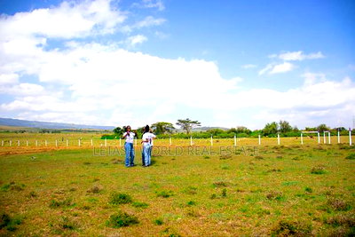 Affordable Plots 50 by 100 in Naivasha,Selling Price - Image 1