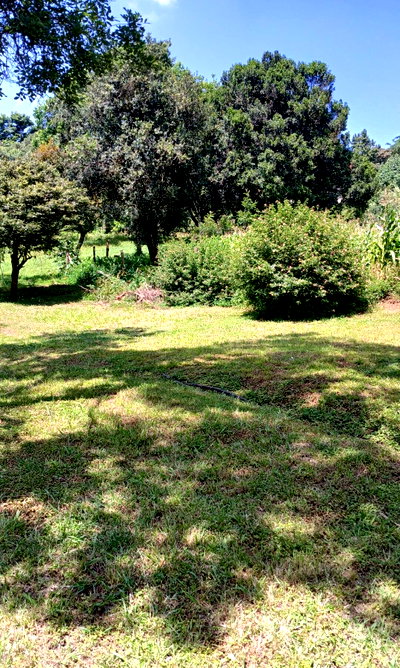 5-Acre Karen Plot at KSh 43M