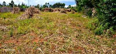 1/4 Plot For Sale In Kiplombe Eldoret - Image 2
