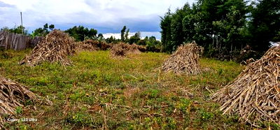 1/4 Plot For Sale In Kiplombe Eldoret - Image 4