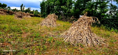 1/4 Plot For Sale In Kiplombe Eldoret - Image 3