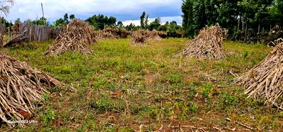 1/4 Plot For Sale In Kiplombe Eldoret - Image 1