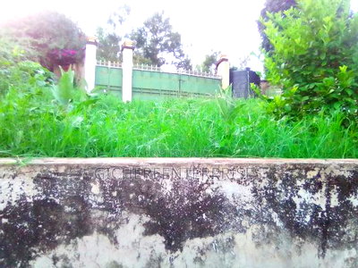 Nyeri Muruguru/Marua - Image 13