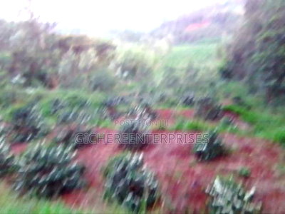 Nyeri Muruguru/Marua - Image 10