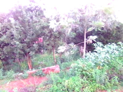 Nyeri Muruguru/Marua - Image 7