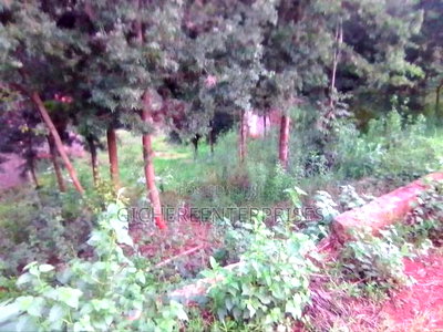 Nyeri Muruguru/Marua - Image 6