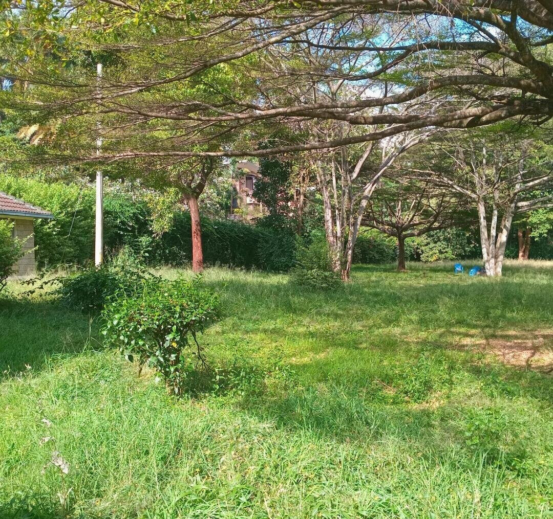 1.1 Acre Lavington Plot with Garden