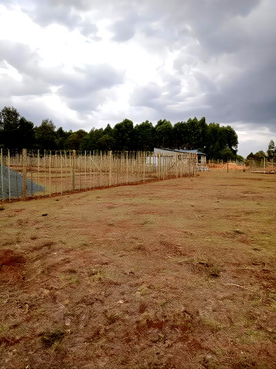 1/8 Plots Kapseret With Titles