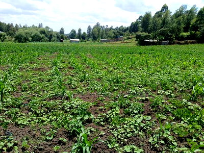 Deal 3.5 Acres for Sale Off Ngong-Kiserian Highway - Image 3