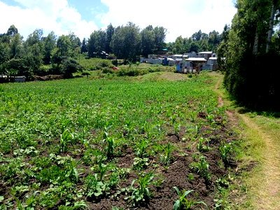 Deal 3.5 Acres for Sale Off Ngong-Kiserian Highway - Image 2