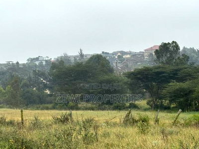 Quarter Kibiku - Image 4