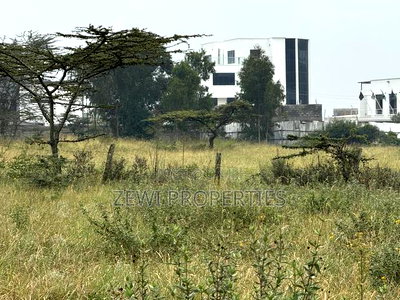 Quarter Kibiku - Image 1