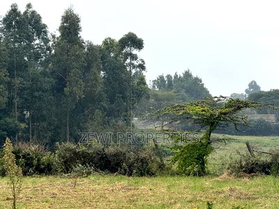 Quarter Kibiku - Image 5