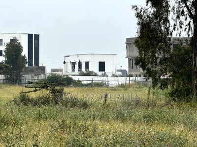 Quarter Kibiku - Image 2