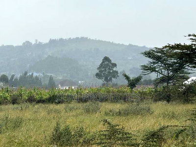 Quarter Kibiku - Image 3