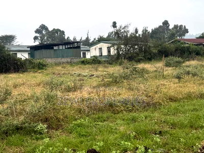 Quarter Kibiku - Image 6