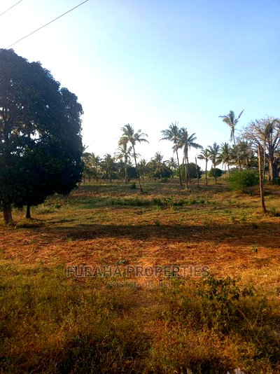 For Sale 3 Acre Kilifi Mavueni. - Image 4