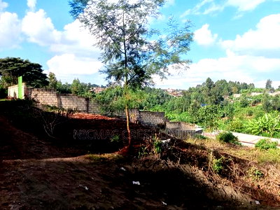 50 by 100 Plots for Sale on Kianjogu - Image 3