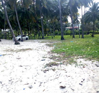 3.2-Acre Beach Property for Sale