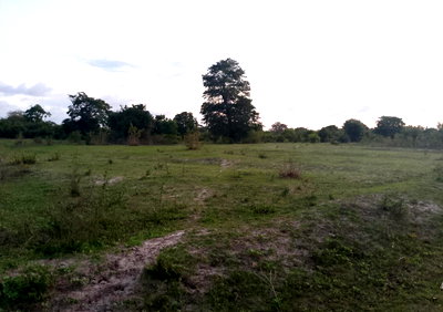 1-Acre Plot in Kakuyuni, Malindi